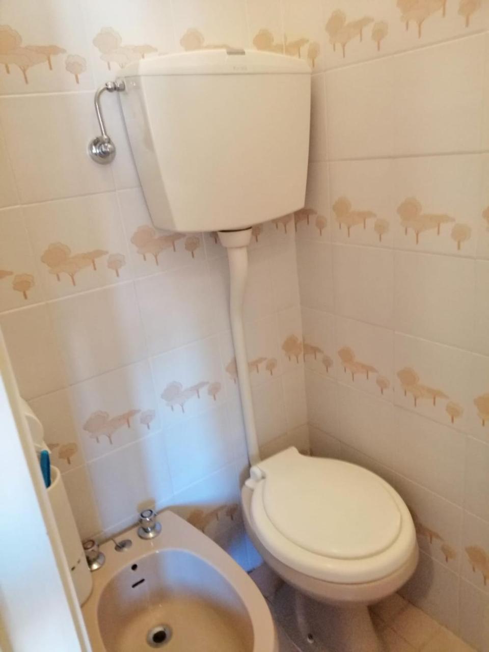 Hotel Manolita Rimini Dış mekan fotoğraf
